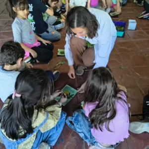 Experimentos - img 02