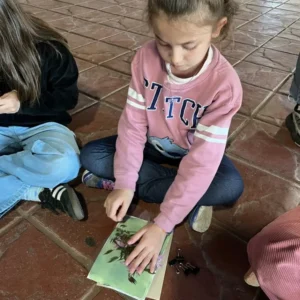 Experimentos - img 03